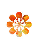 花纹图片