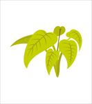 卡通餐具图片
