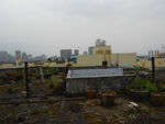 旧房屋顶