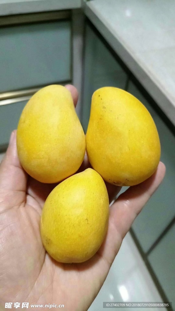 芒果