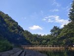 蓝天 白云 绿树 河水 桥