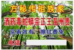 祖传秘方