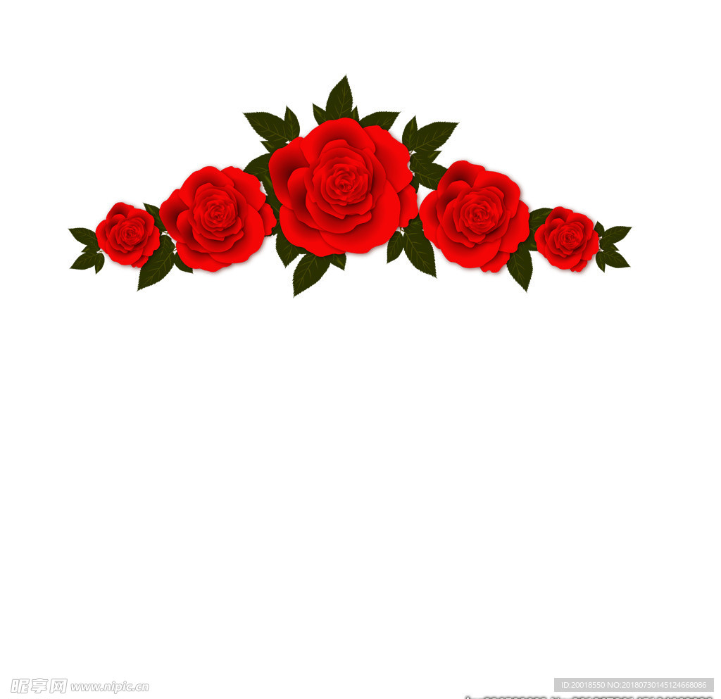 玫瑰花