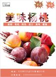 李子海报