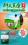 醉美草原