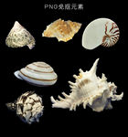 贝壳