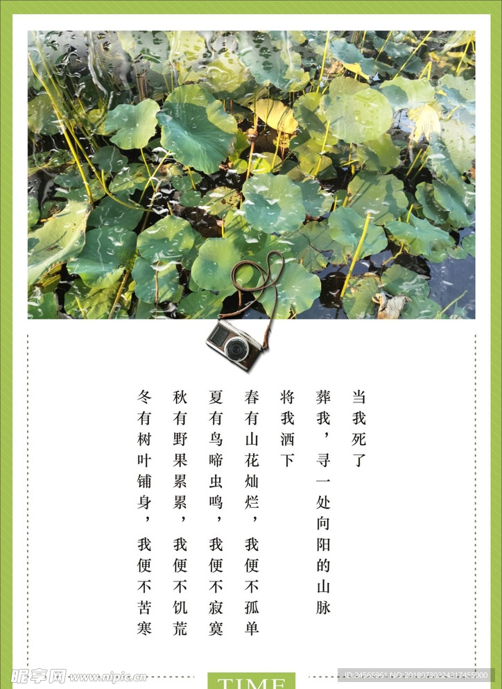 小清新海报