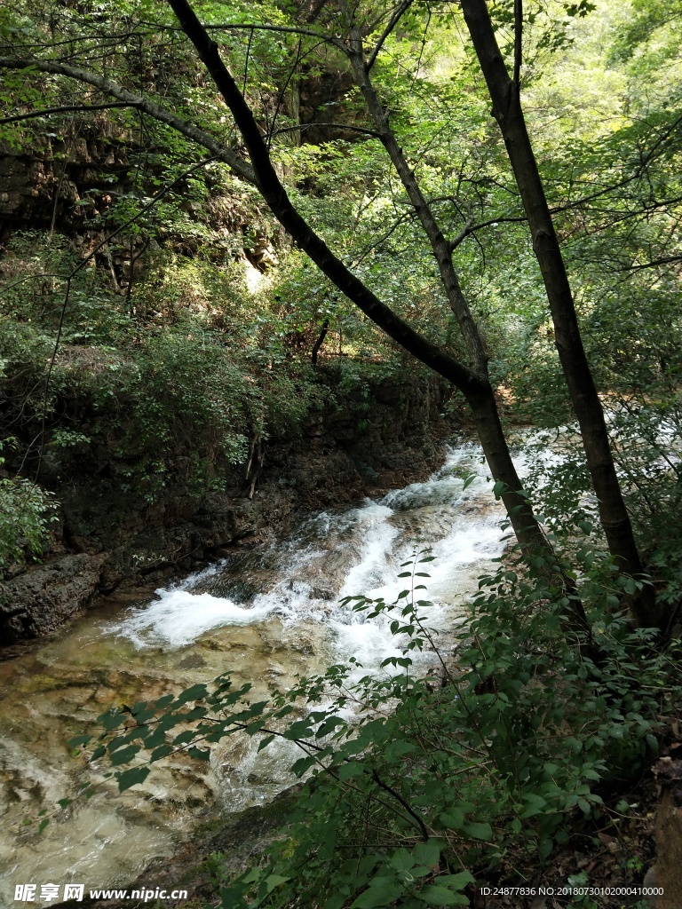 山涧河流