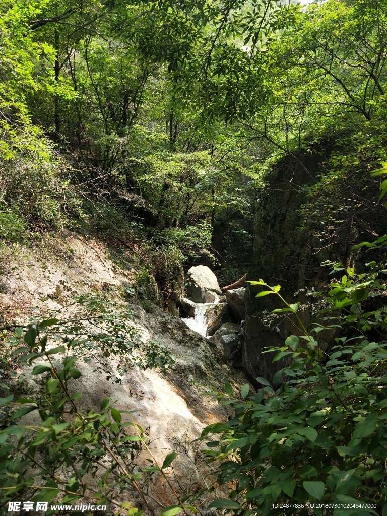 原始山谷