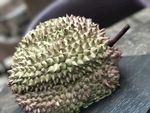 榴莲
