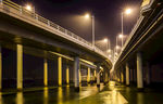 深圳湾公路大桥夜景
