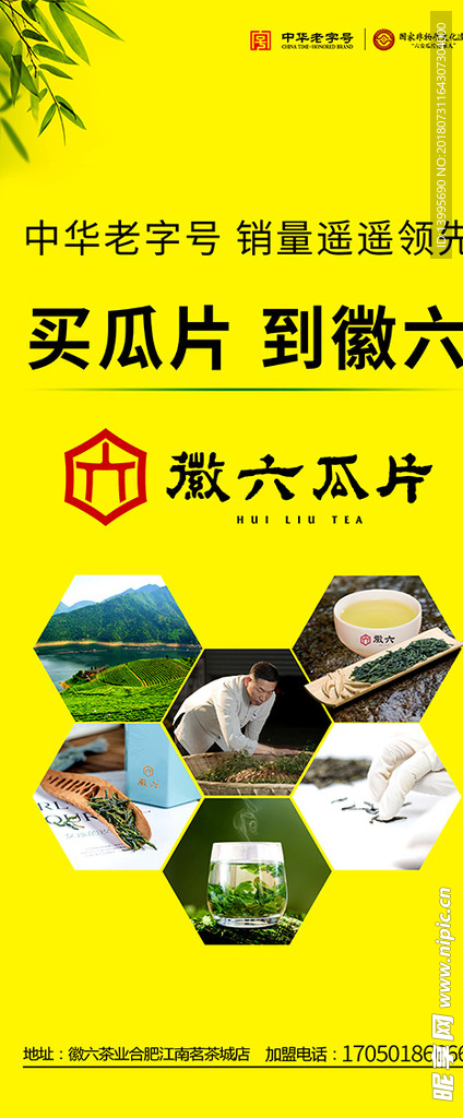 喝茶  春茶 茶叶 鲜叶 品茶