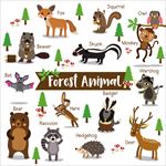 森林小动物