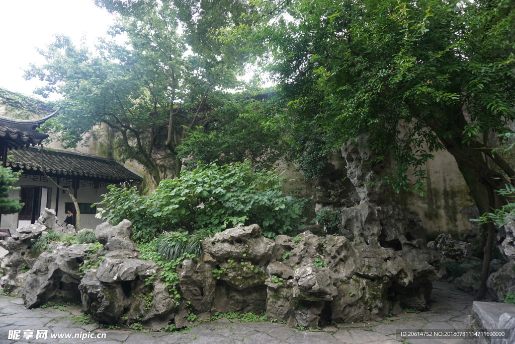 庭院风景
