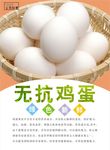 鸡蛋海报