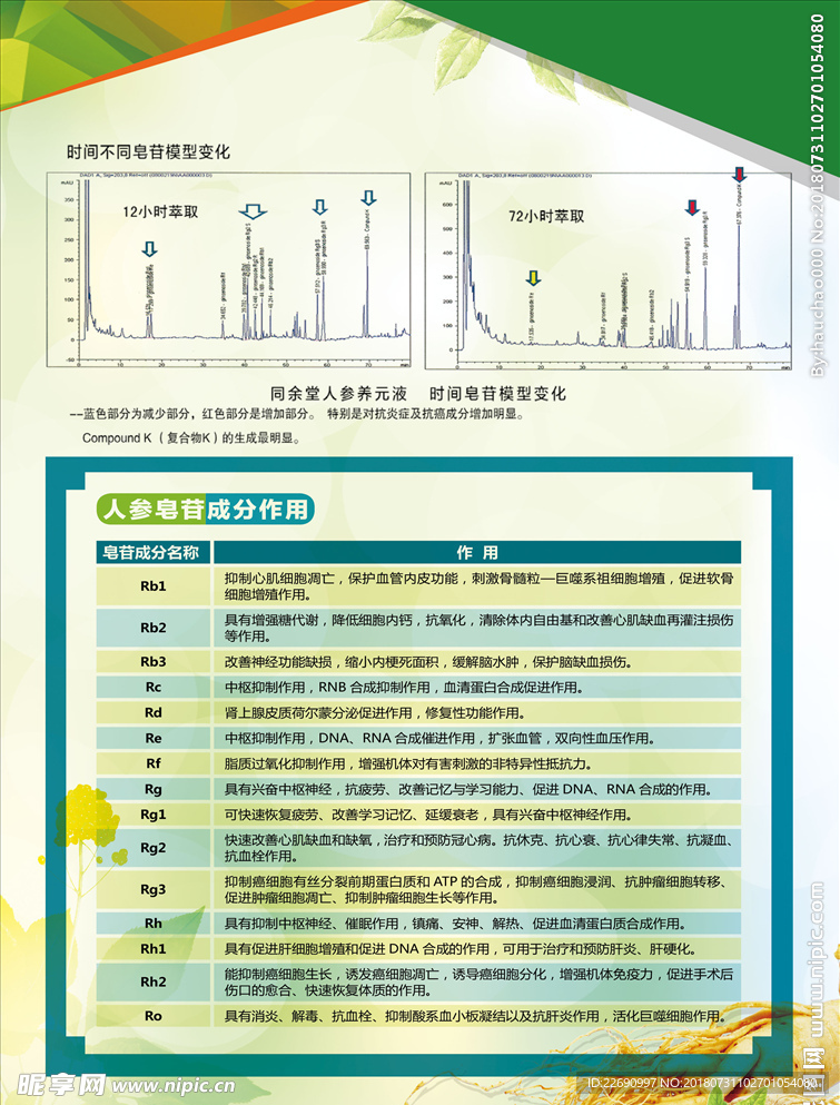 人参口服液图片