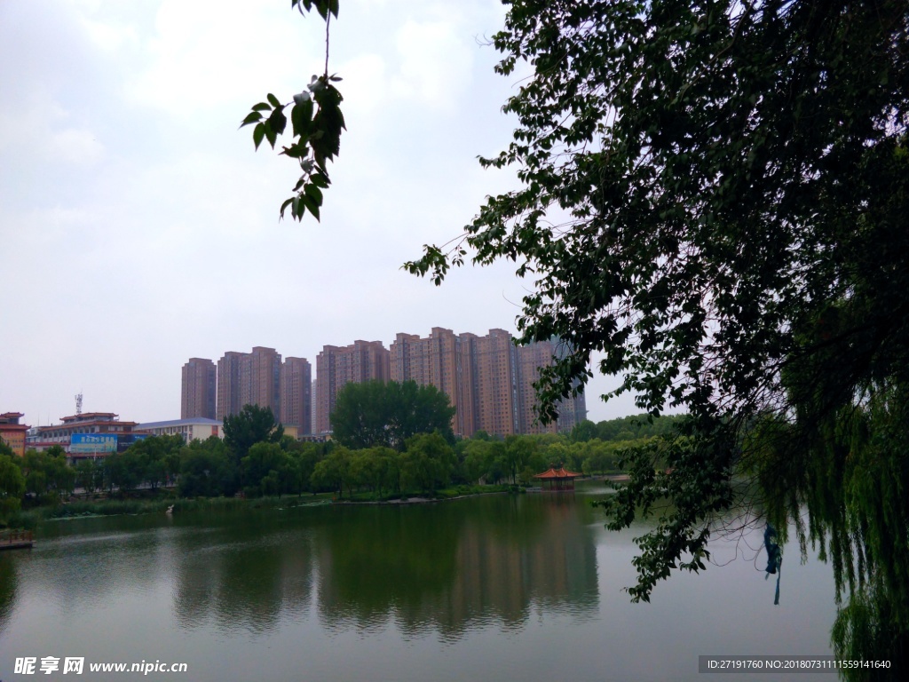 风景