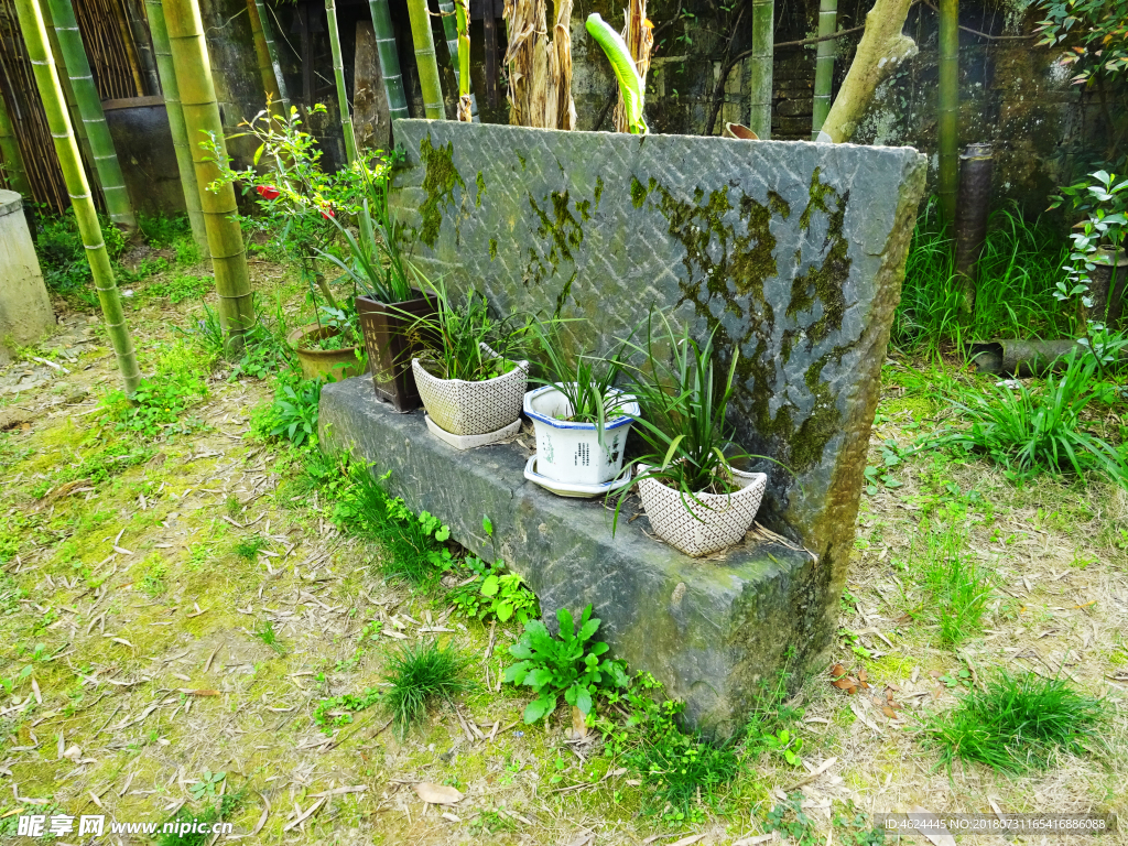 庭院