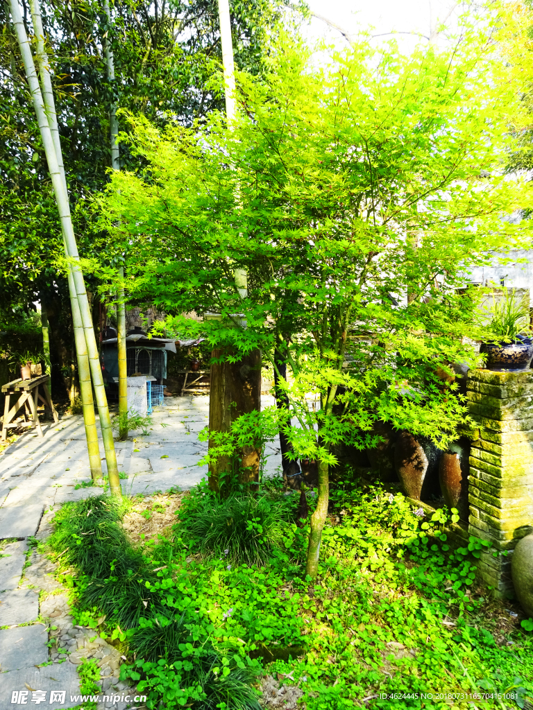 庭院