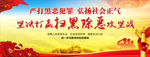 扫黑除恶