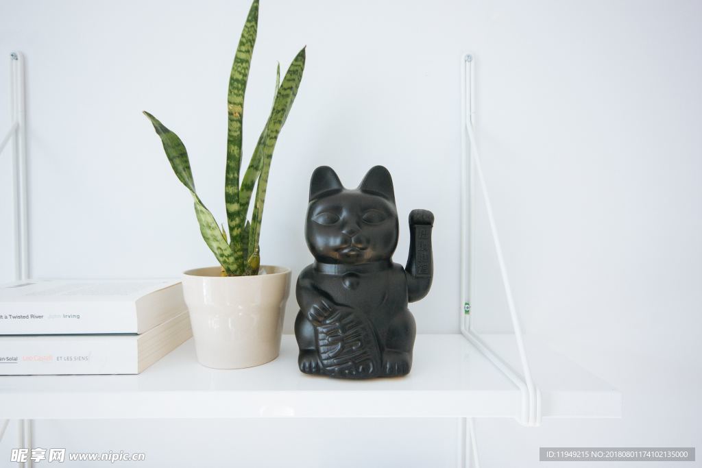 室内植物盆栽 园林盆栽