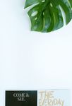 室内植物盆栽  园林盆栽