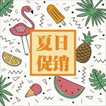 矢量夏日促销海报设计西瓜菠萝