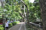 福荣路