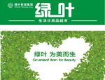 绿叶科技