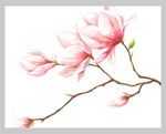 桃花素材