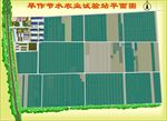 农业园区种植园区平面图