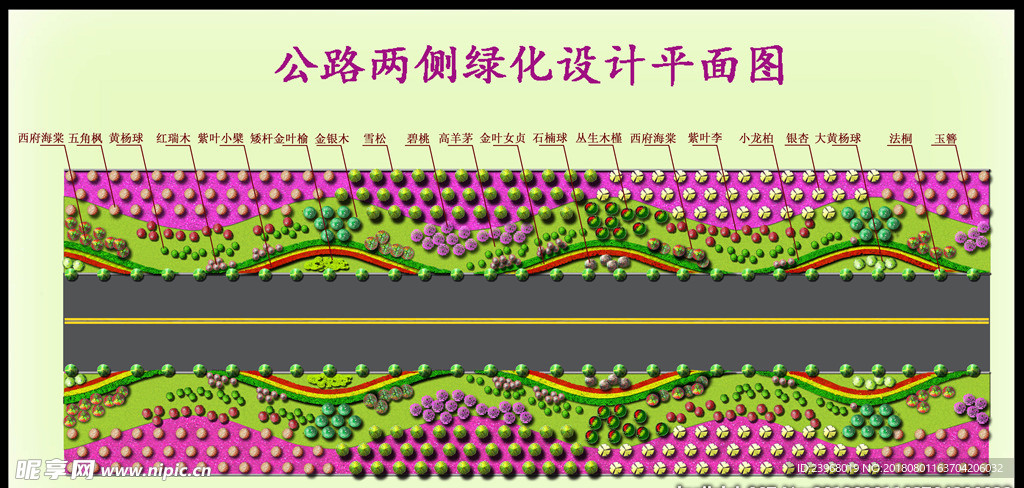 道路两侧绿化平面效果图