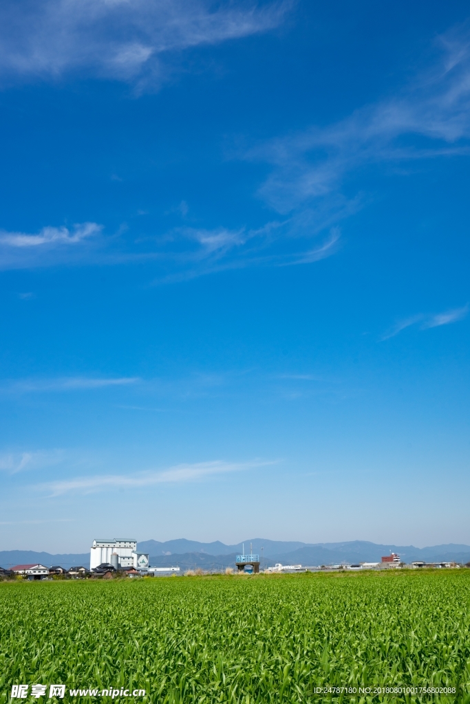 蓝天白云天空田野