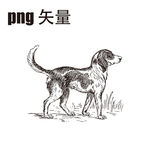 狗 狗线条图