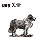 狗 狗线条图