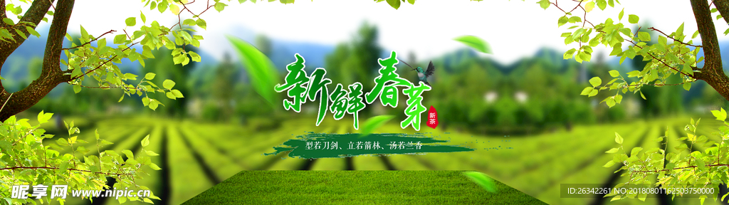 茶文化Banner