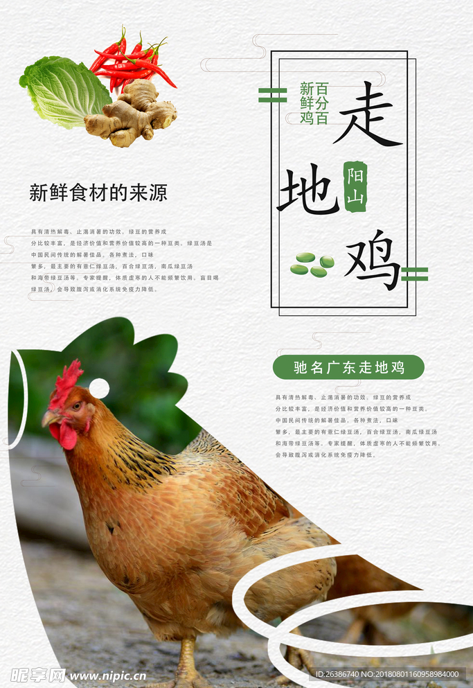 美食鸡海报