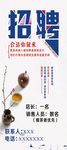 招聘展架