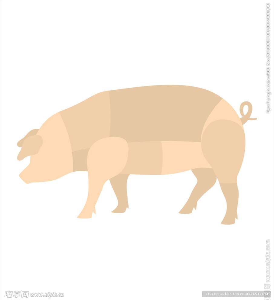 猪肉分解图