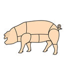 猪肉分解图