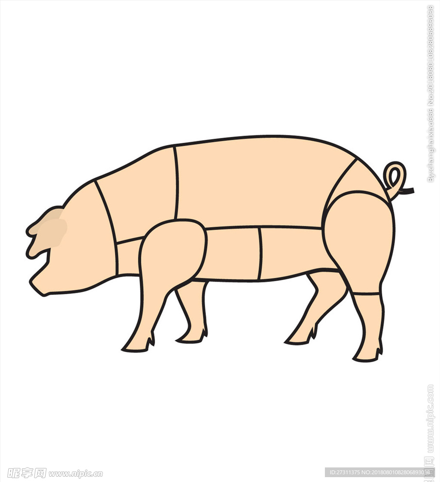 猪肉分解图