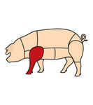 猪肉分解图
