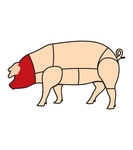 猪肉分解图