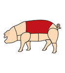 猪肉分解图