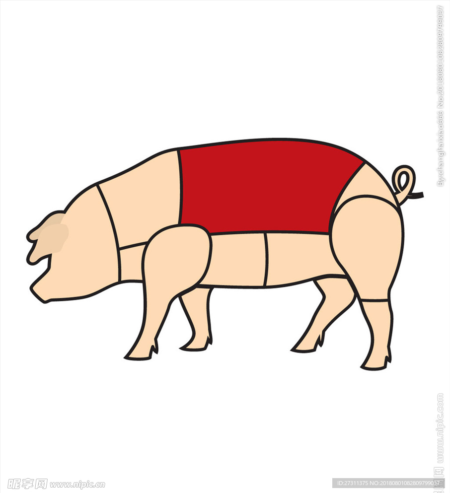 猪肉分解图