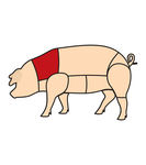 猪肉分解图