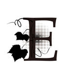 花纹字母图片