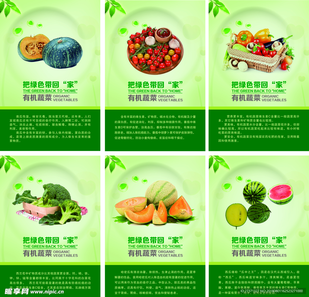 把绿色带回家