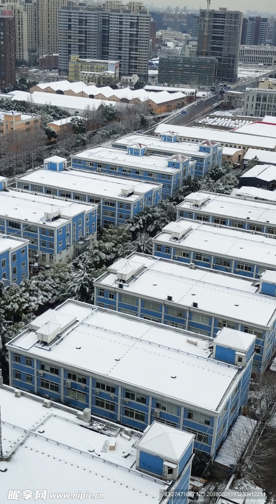 雪景