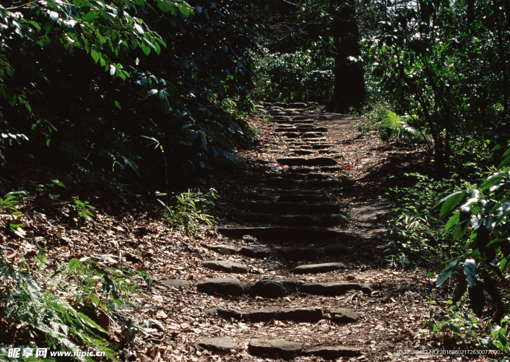 登山步道